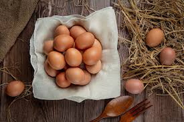 تصویر 1 از خرید و قیمت تخم مرغ فله + فروش عمده
